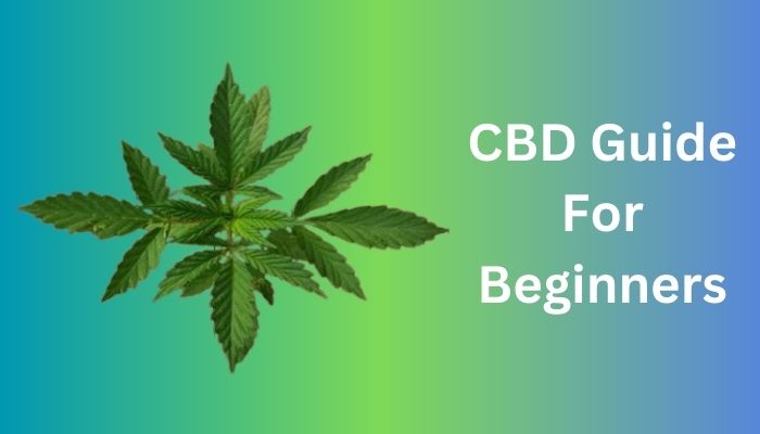 cbd guide for beginners