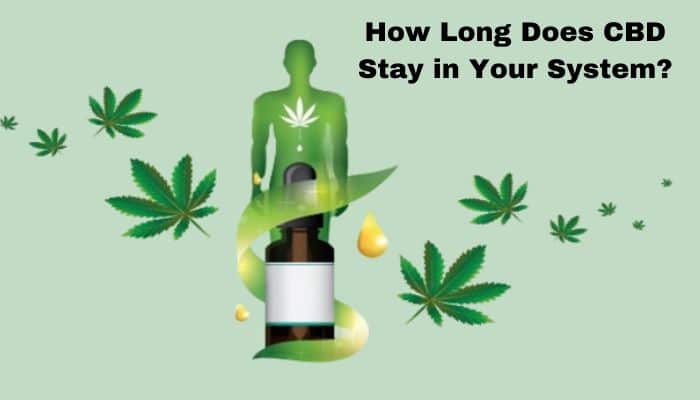 how-long-does-cbd-stay-in-your-system