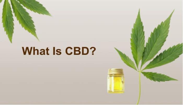 what-is-cbd