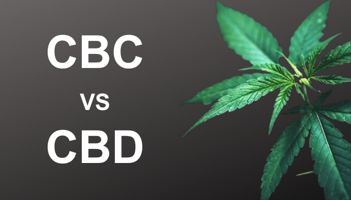 cbc vs cbd