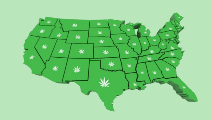 is-cbd-legal-in-all-states-1