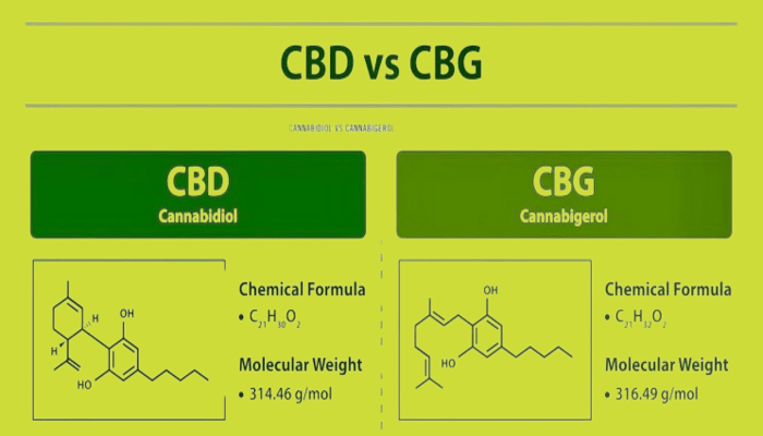 CBD-vs-CBG