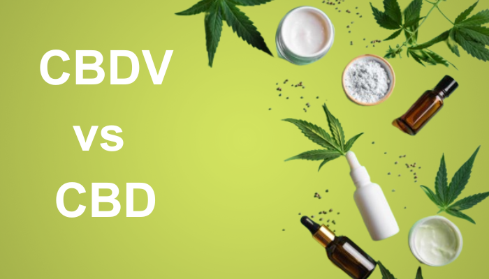 cbdv-vs-cbd