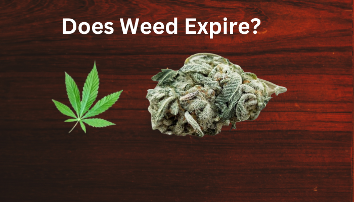 does-weed-expire-4