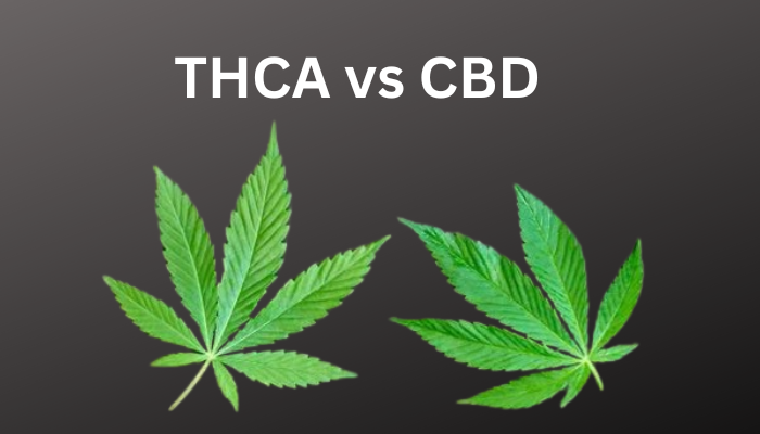 thca-vs-cbd