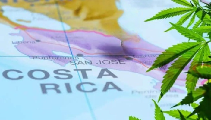 is-weed-legal-in-costa-rica