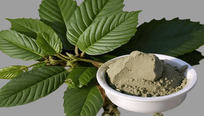 white thai kratom